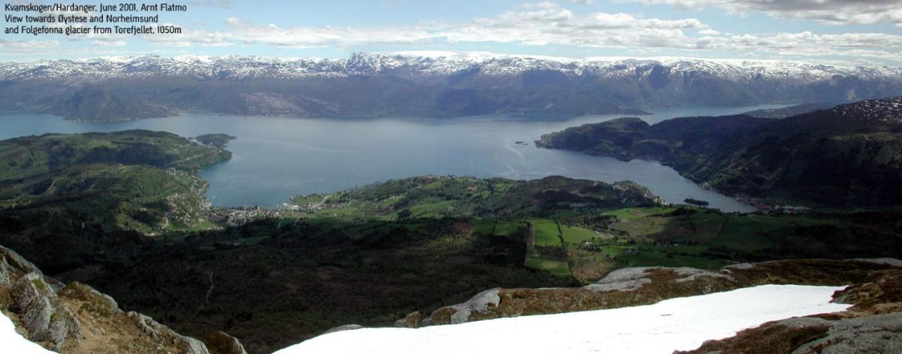 Вілла Hardanger Feriesenter Sjusete Нургеймсунн Екстер'єр фото