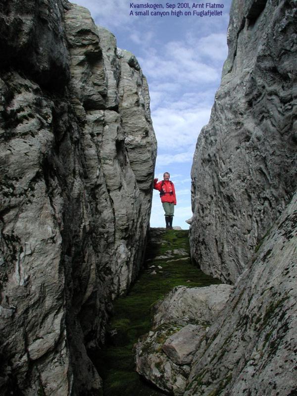 Вілла Hardanger Feriesenter Sjusete Нургеймсунн Екстер'єр фото